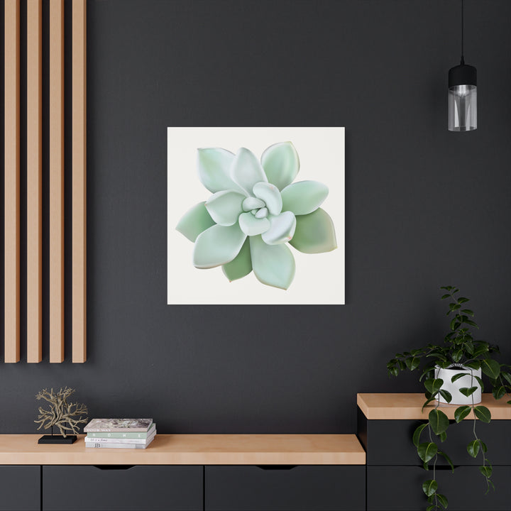 Succulent Canvas Art Pachyveria Haagei Print On Matte Finish Canvas Botanical Wall Decor