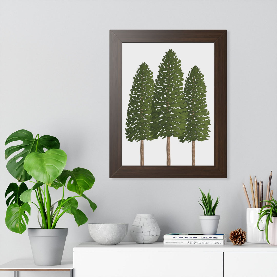 Ponderosa Pine Framed Print – Wall Art