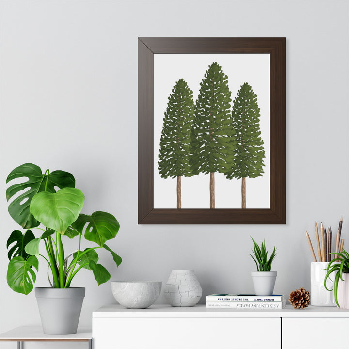 Ponderosa Pine Framed Print – Wall Art