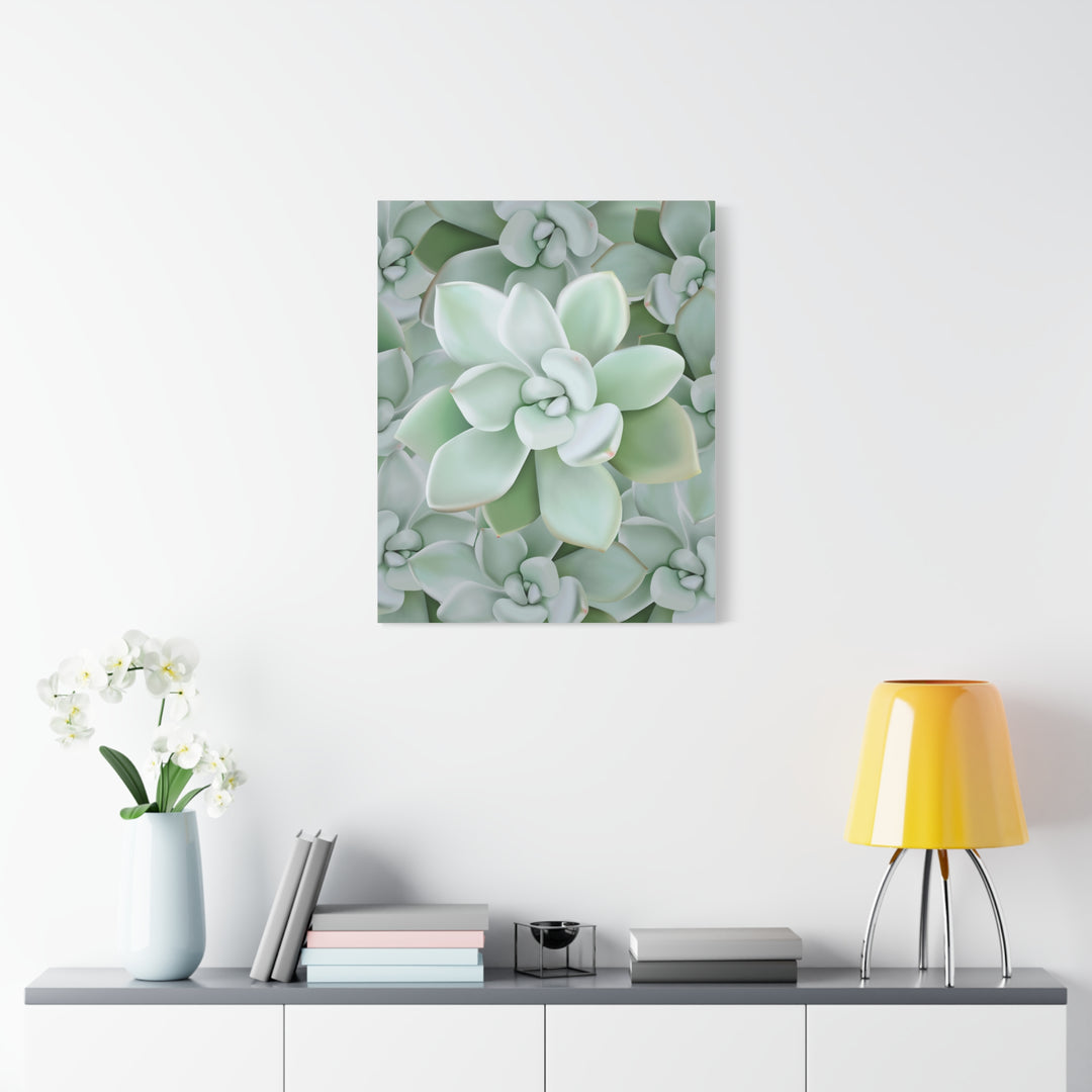 Pachyveria Haagei Succulent Pattern Canvas Art for Modern Home Decor 16x20 Matte Print