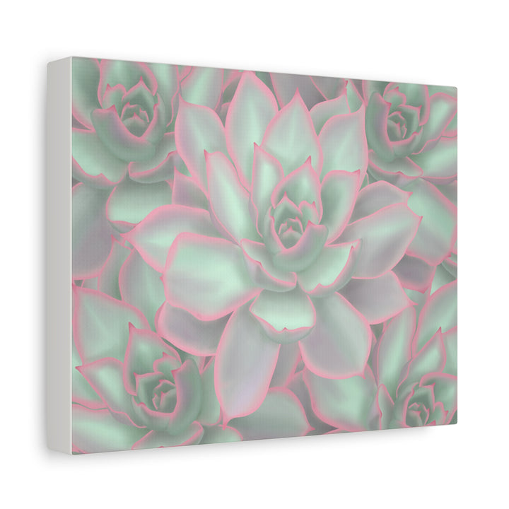 Echeveria Violet Queen Canvas Wall Art Succulent Print Matte Botanical Decor For Indoor Spaces