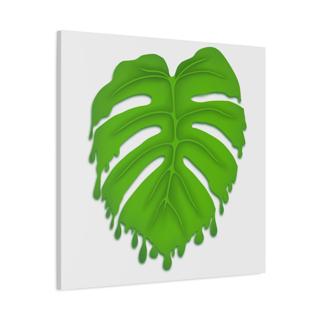 Melting Monstera Canvas Wall Art Large Botanical Print On Premium Cotton With Matte Finish For Indoor Decor