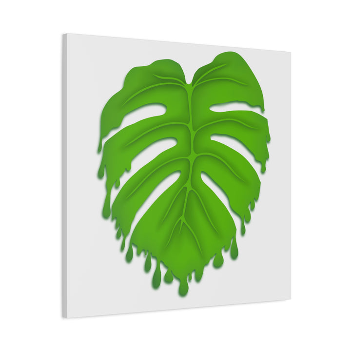 Melting Monstera Canvas Wall Art Large Botanical Print On Premium Cotton With Matte Finish For Indoor Decor
