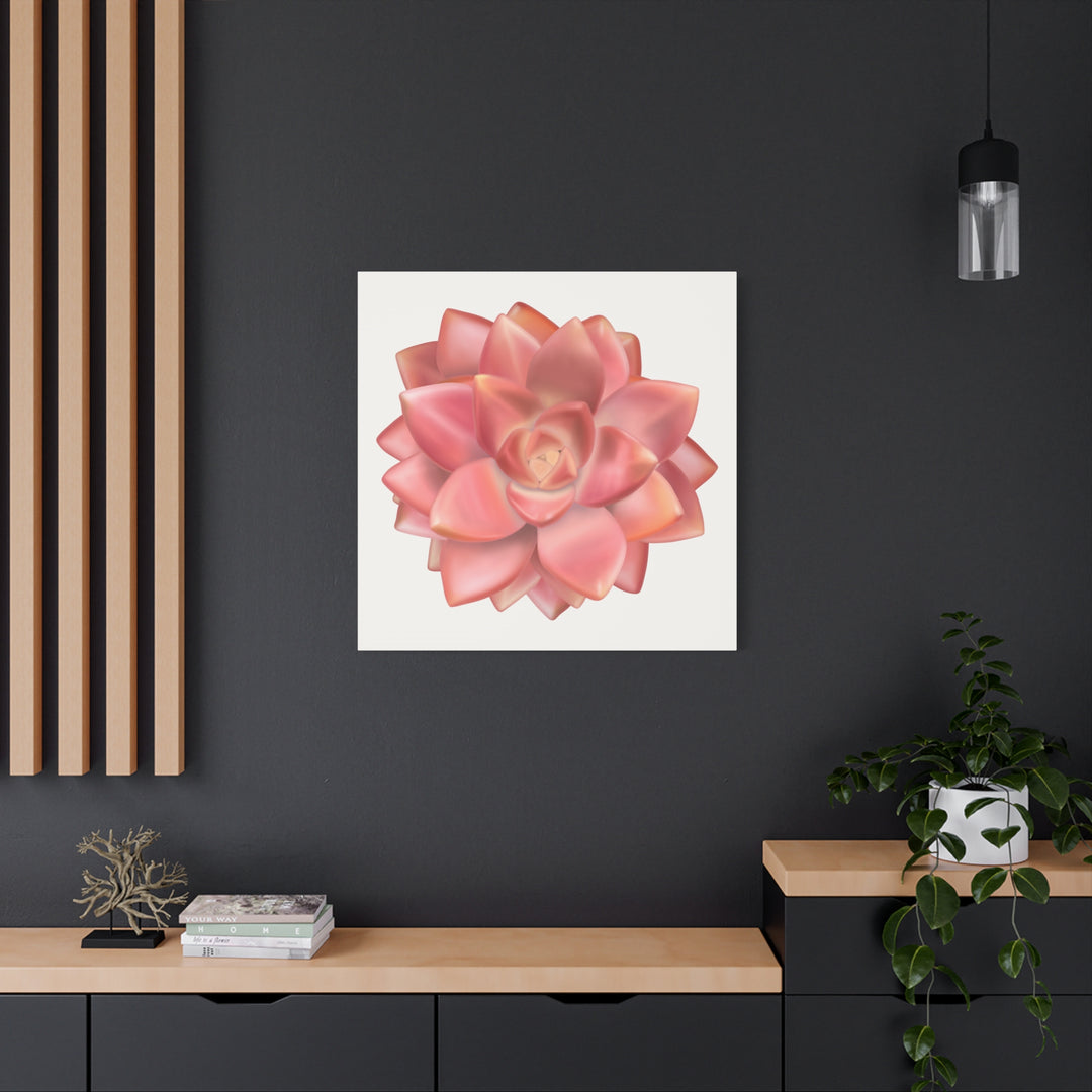 Succulent Canvas Art California Sunset Rosette Botanical Wall Art Print The Potted Pixel