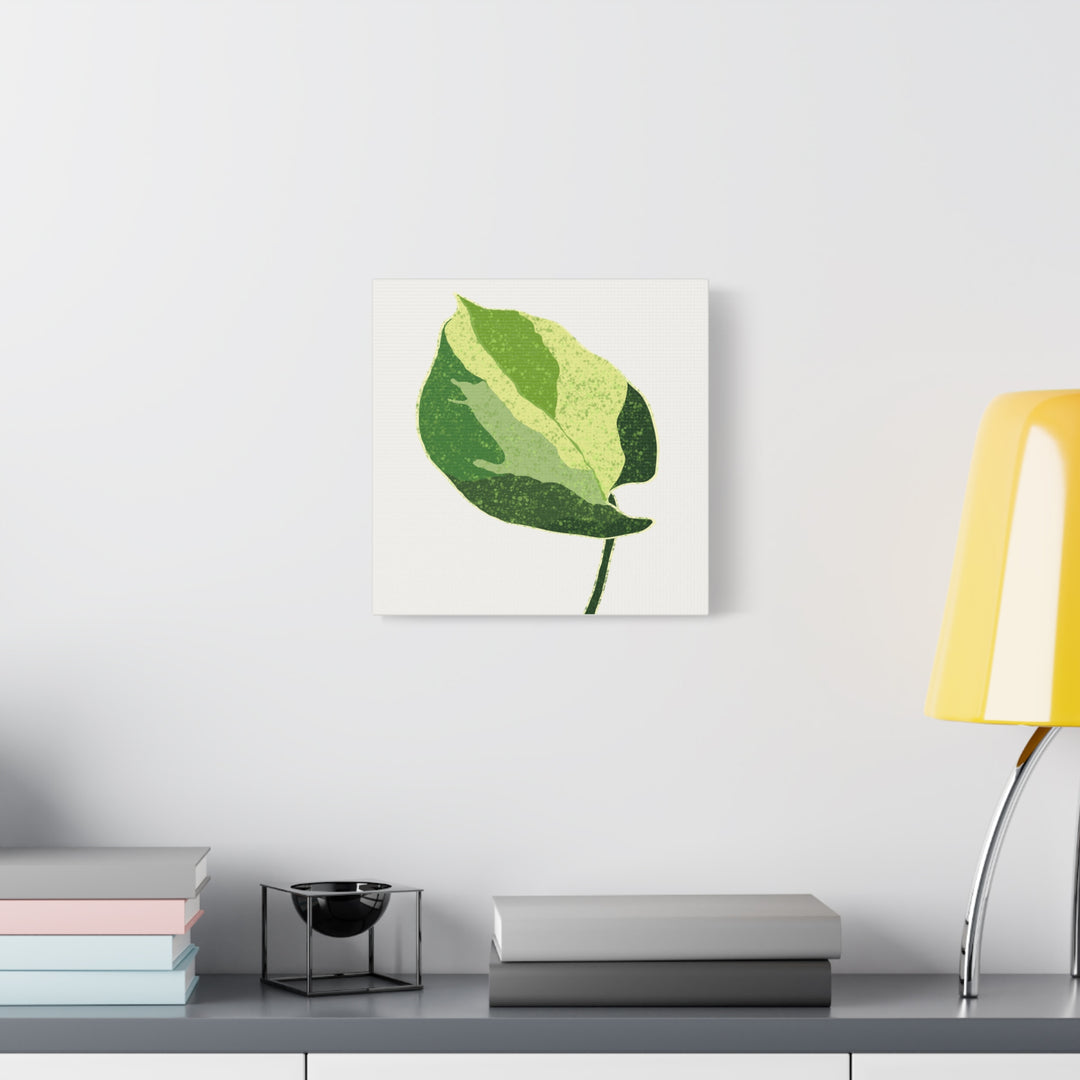 Manjula Pothos Botanical Canvas Print Matte Finish Stretched Canvas Wall Art 1.25 Inch Depth
