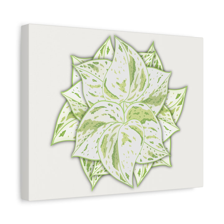 Snow Queen Pothos Canvas Wall Art Variegated Indoor Plant Leaf Poster Print Cotton Canvas