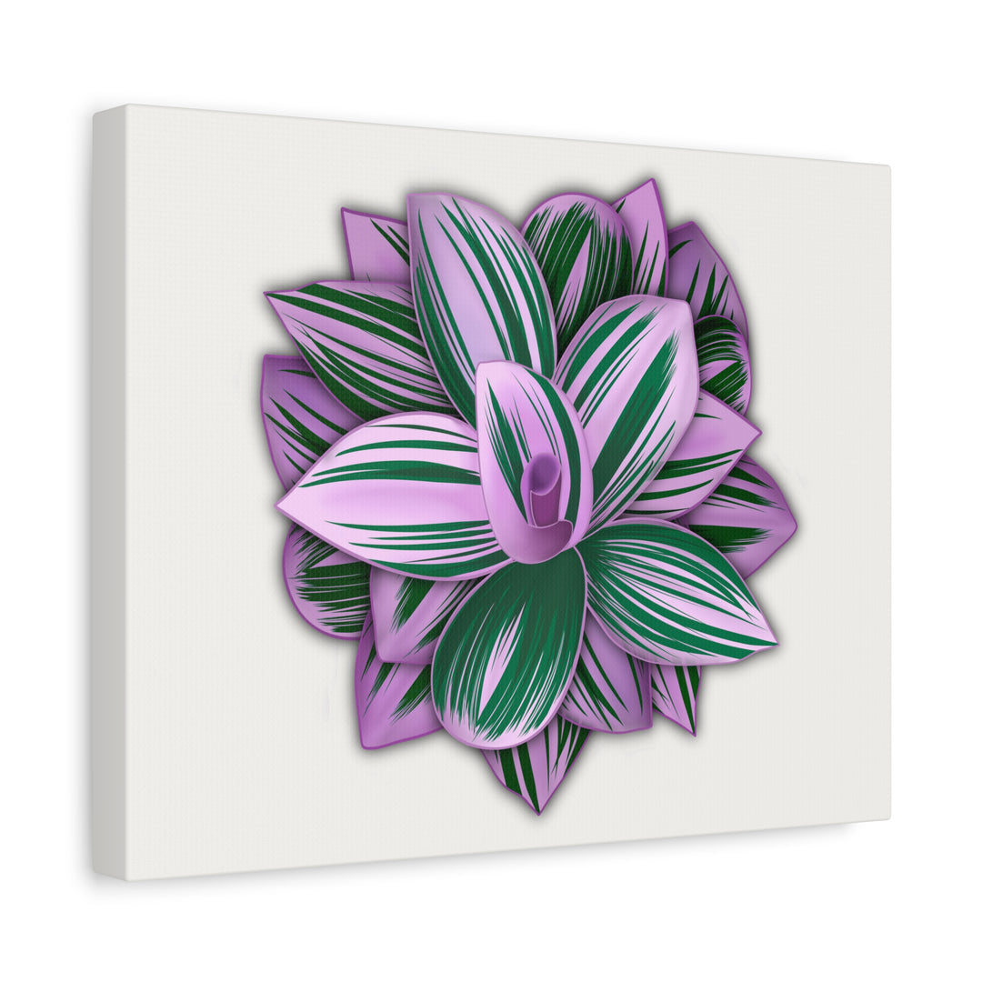 Tradescantia Nanouk Canvas Botanical Wall Art Print Pink Green Foliage On Stretched Cotton Canvas