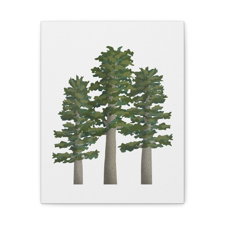 Sitka Spruce Canvas Print – Wall Art
