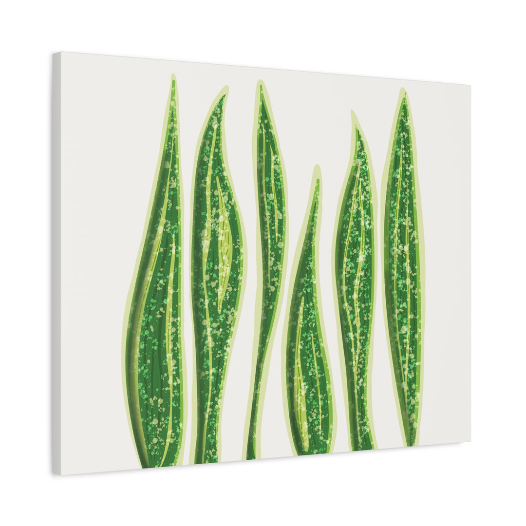 Snake Plant Canvas Print Matte 1.25 Inch Stretch Canvas Wall Art For Living Room Decor