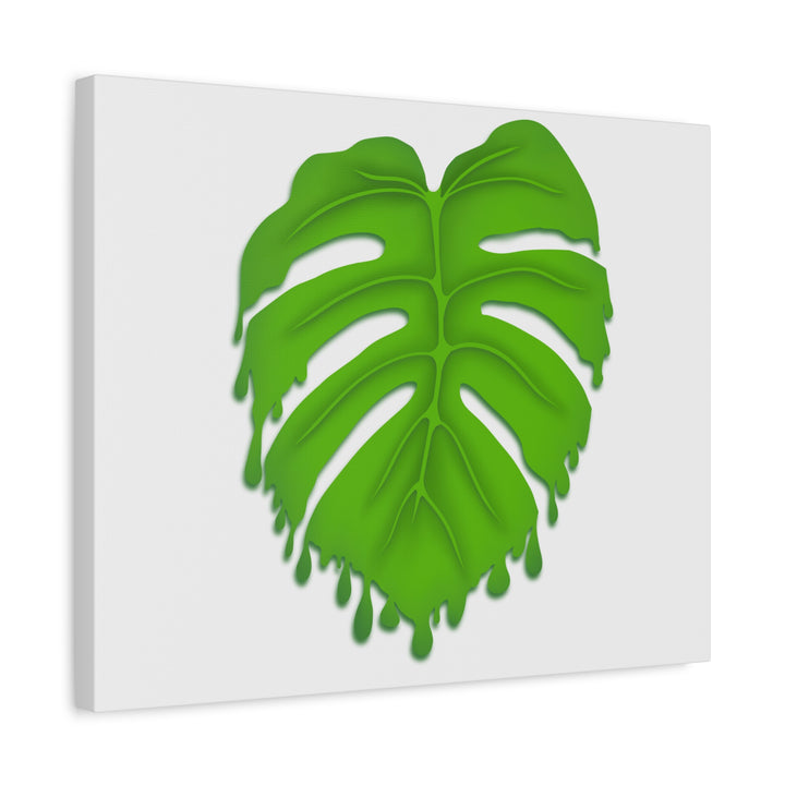 Melting Monstera Canvas Wall Art Large Botanical Print On Premium Cotton With Matte Finish For Indoor Decor