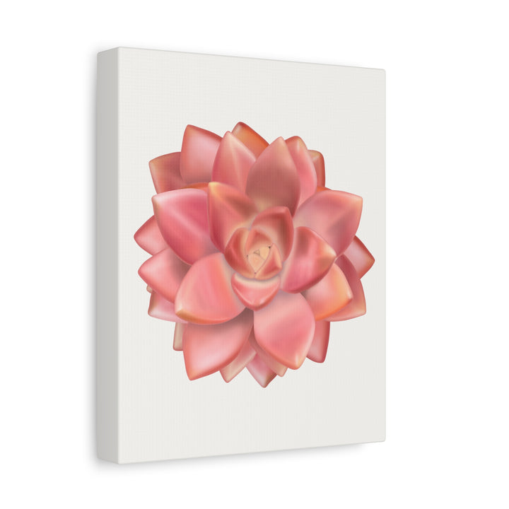Succulent Canvas Art California Sunset Rosette Botanical Wall Art Print The Potted Pixel
