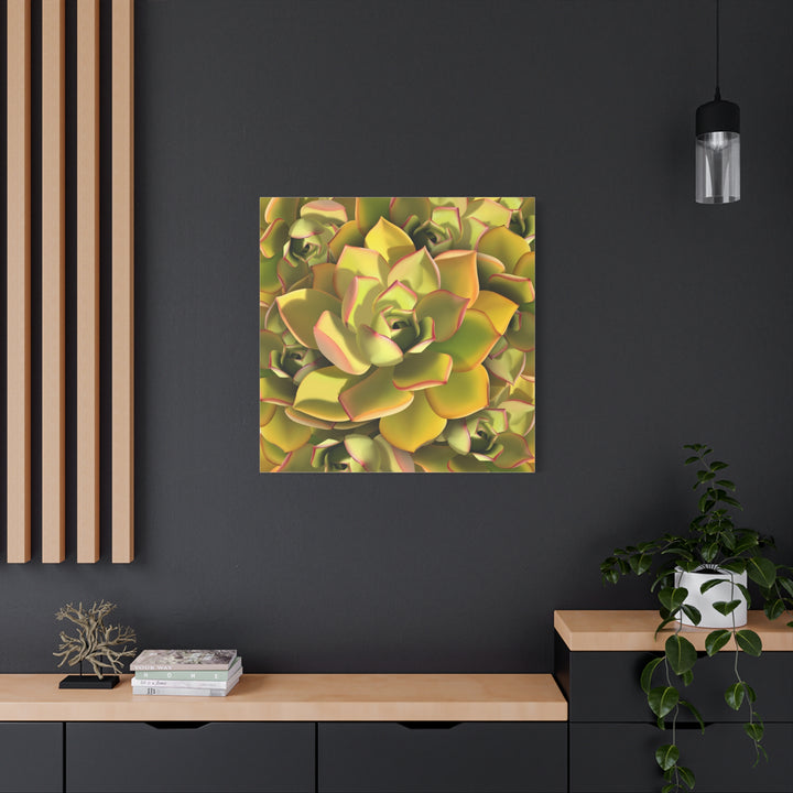 Succulent Canvas Art Vibrant Aeonium Print On Matte Canvas Wall Decor 12x18 Inches Indoor Home