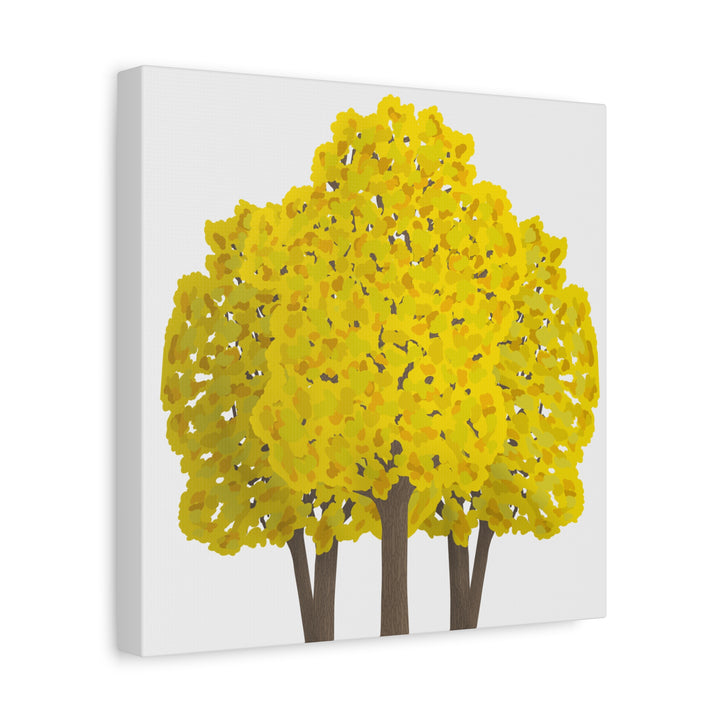Big Leaf Maple Canvas Print – Wall Art