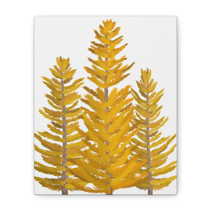 Western Larch Canvas Print – Wall Art