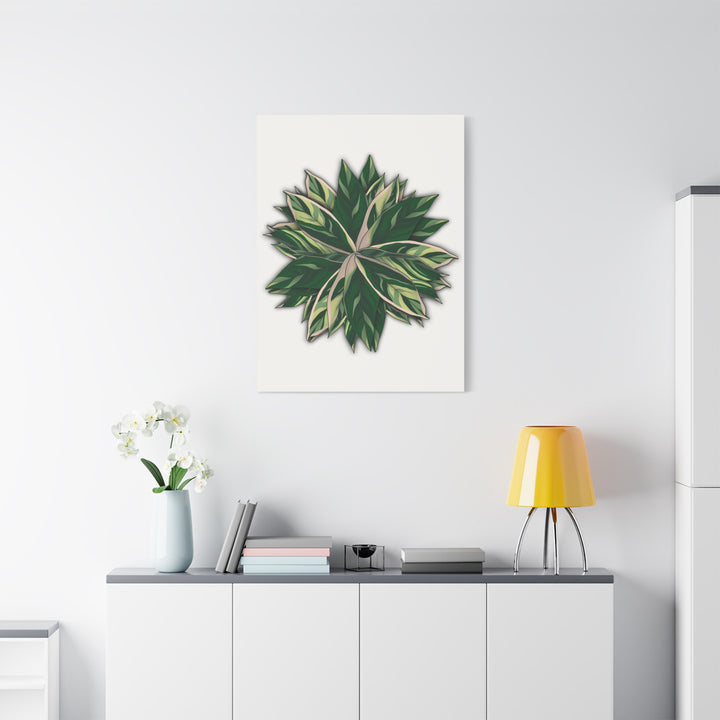 Stromanthe Triostar Canvas Wall Art Premium Matte Finish On Durable 1.25 Inch Frame For Vibrant Indoor Tropical Decor