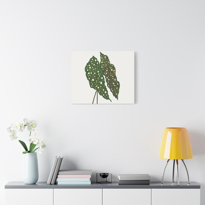 Begonia Maculata Canvas Premium Botanical Wall Art Print On Cotton Canvas With Matte Finish For Indoor Decor