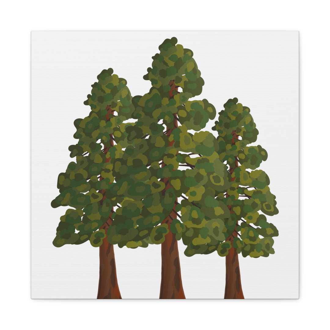 Coastal Redwoods Matte Canvas Print On 1.25 Inch Stretched Canvas For Serene Forest Wall Art In Living Rooms