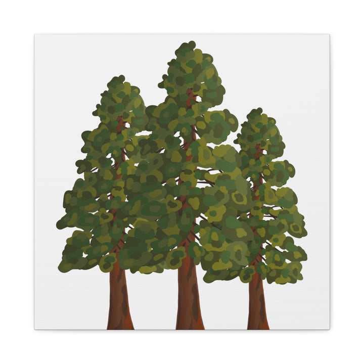 Coastal Redwoods Matte Canvas Print On 1.25 Inch Stretched Canvas For Serene Forest Wall Art In Living Rooms