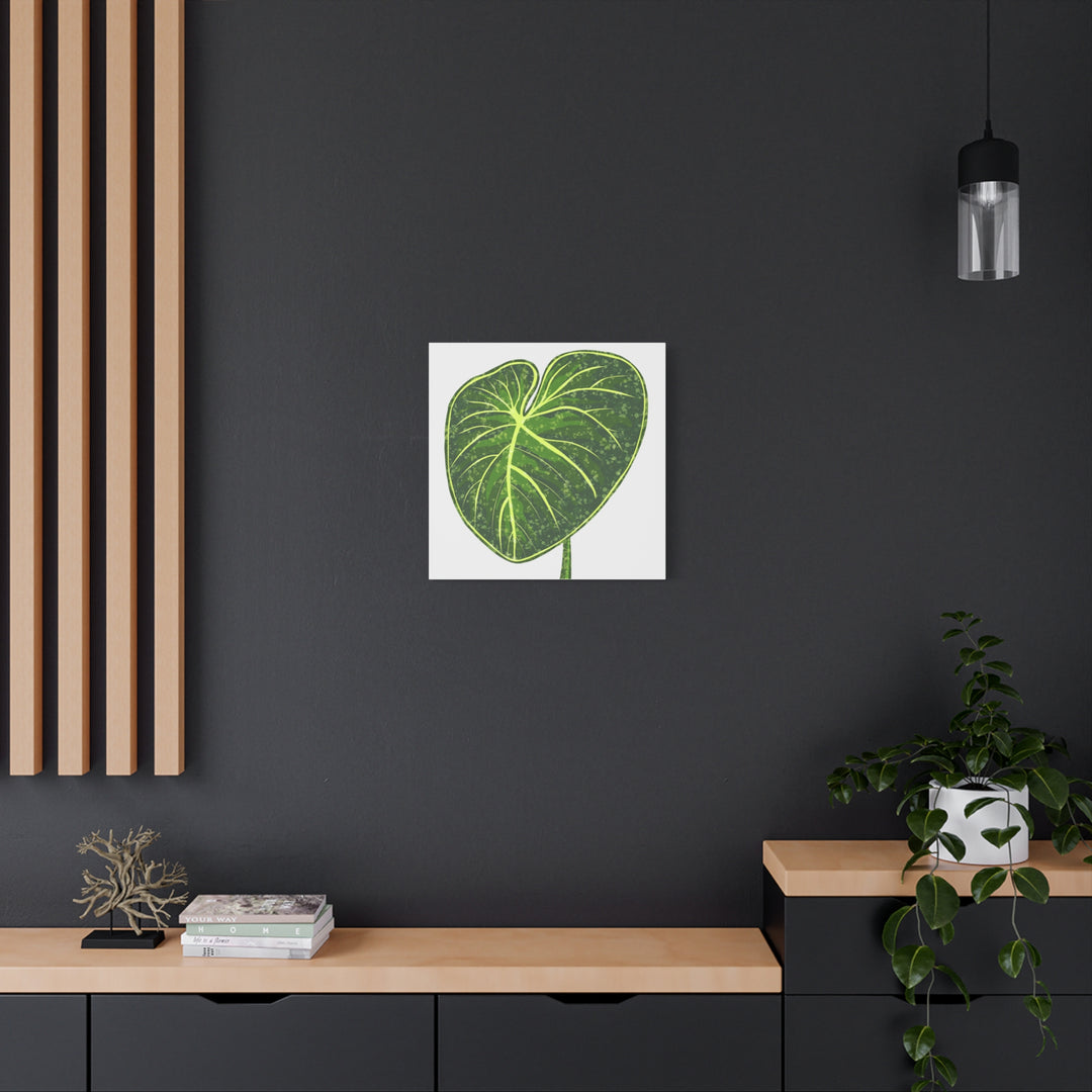 Philodendron Gloriosum Canvas Print Stretched Wall Art Botanical Leaf Print Matte Finish Gallery Wrapped Canvas