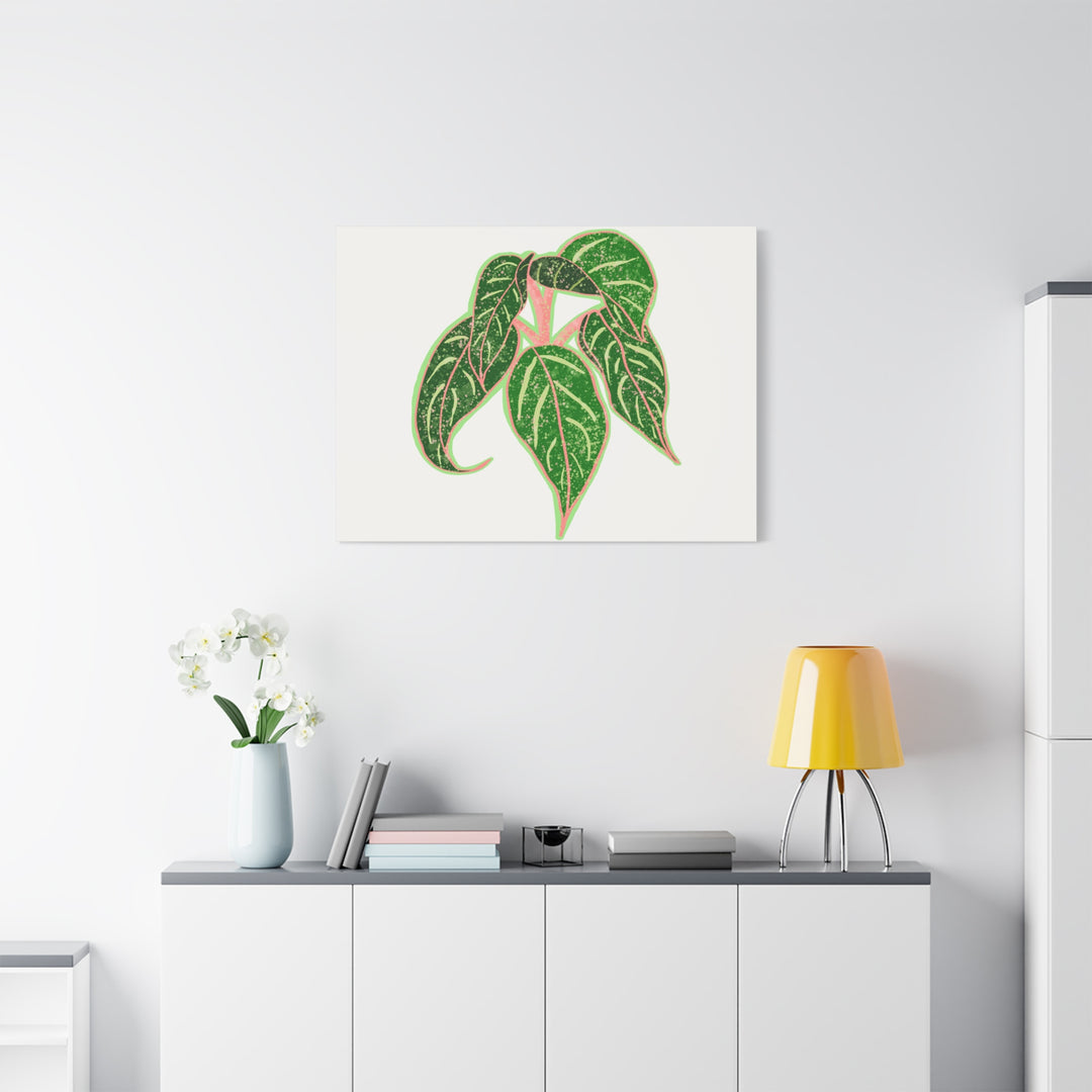 Aglaonema Sparkling Sarah Botanical Canvas Print On Matte Stretch Canvas For Modern Living Room Decor