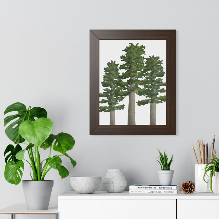 Sitka Spruce Framed Print – Wall Art
