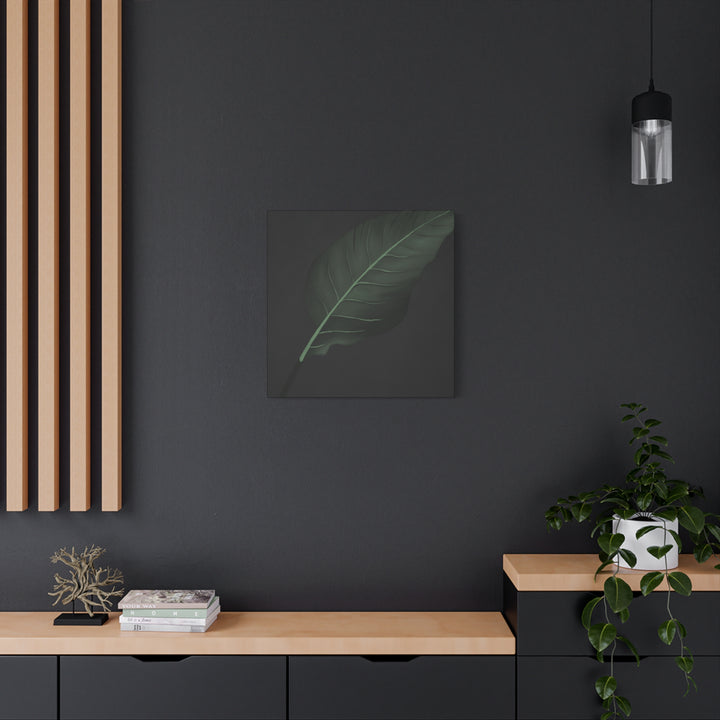 Bird of Paradise Canvas Print – Botanical Wall Art