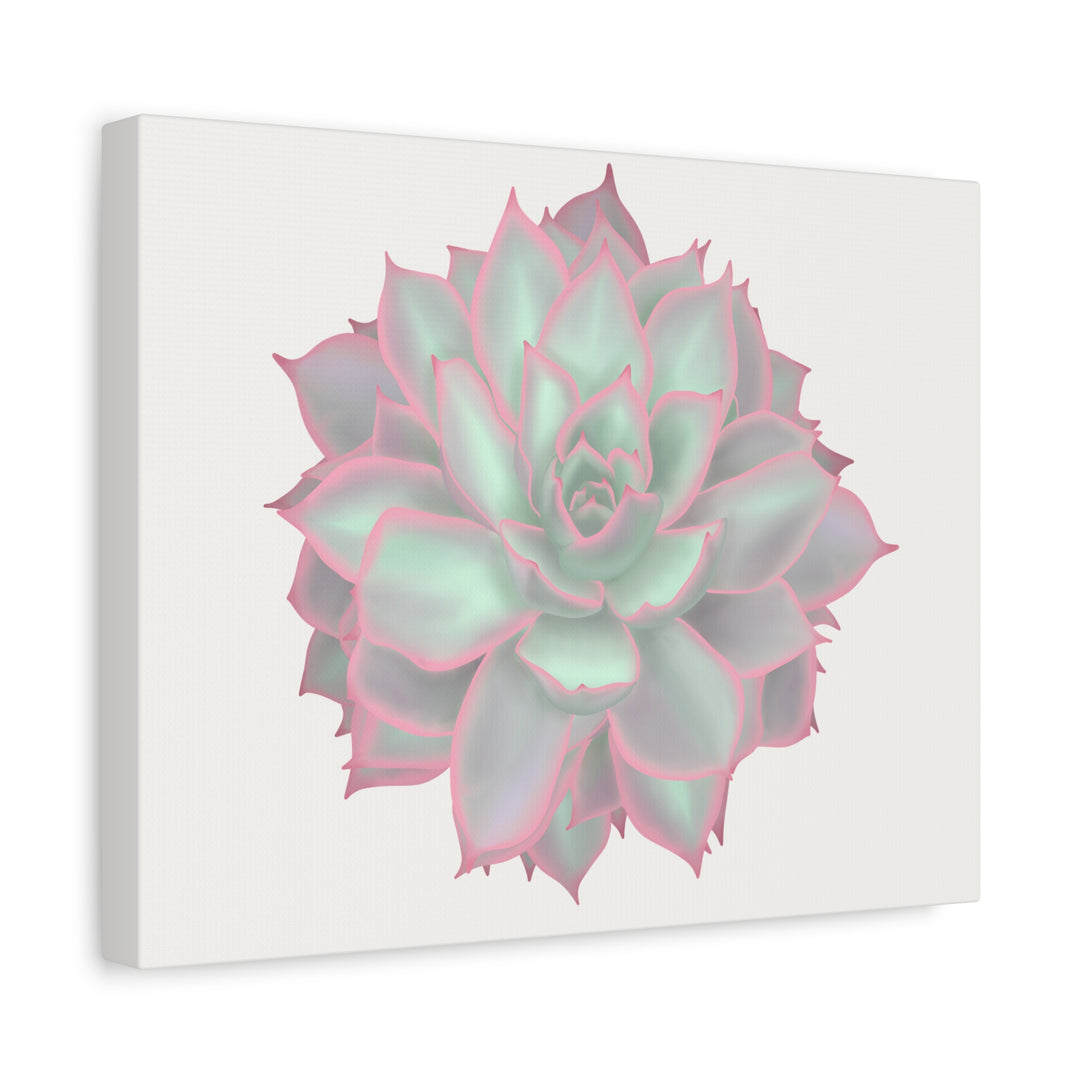 Echeveria Violet Queen Canvas Wall Art Rosette Succulent Print With Matte Finish