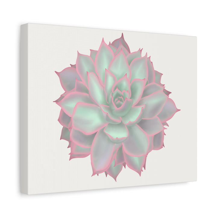 Echeveria Violet Queen Canvas Wall Art Rosette Succulent Print With Matte Finish