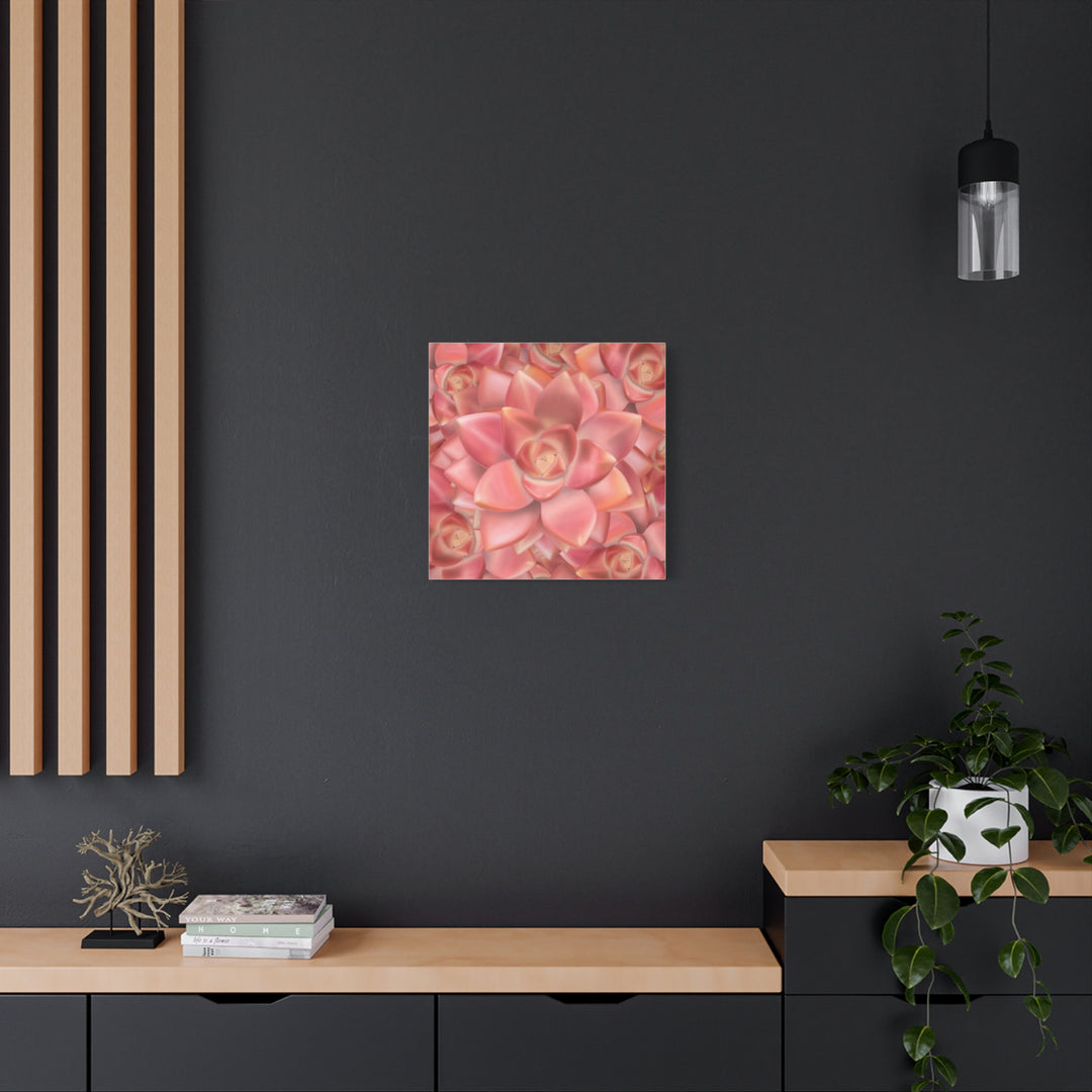 Graptosedum California Sunset Succulent Canvas Print – Botanical Wall Art - The Potted Pixel