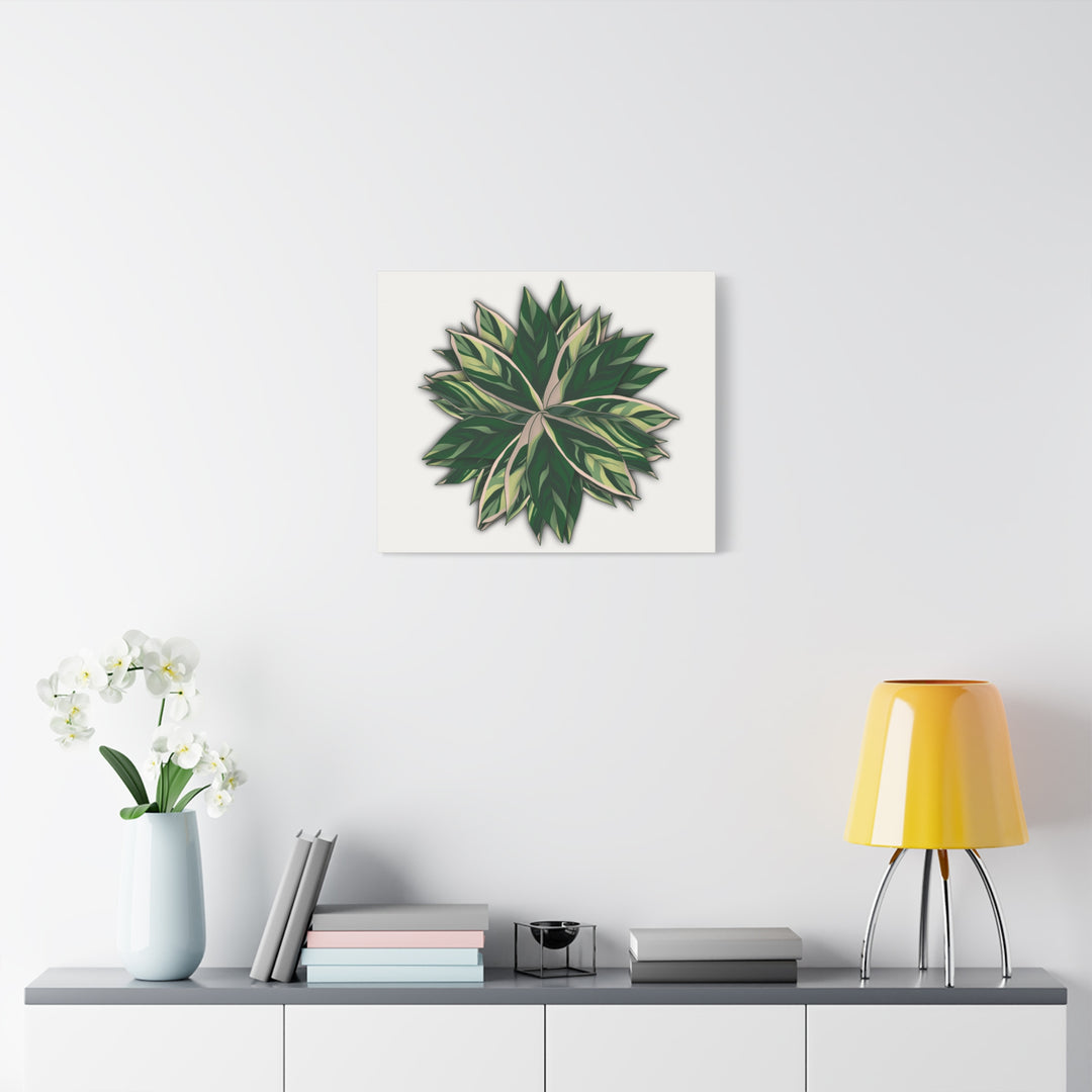 Stromanthe Triostar Canvas Wall Art Premium Matte Finish On Durable 1.25 Inch Frame For Vibrant Indoor Tropical Decor