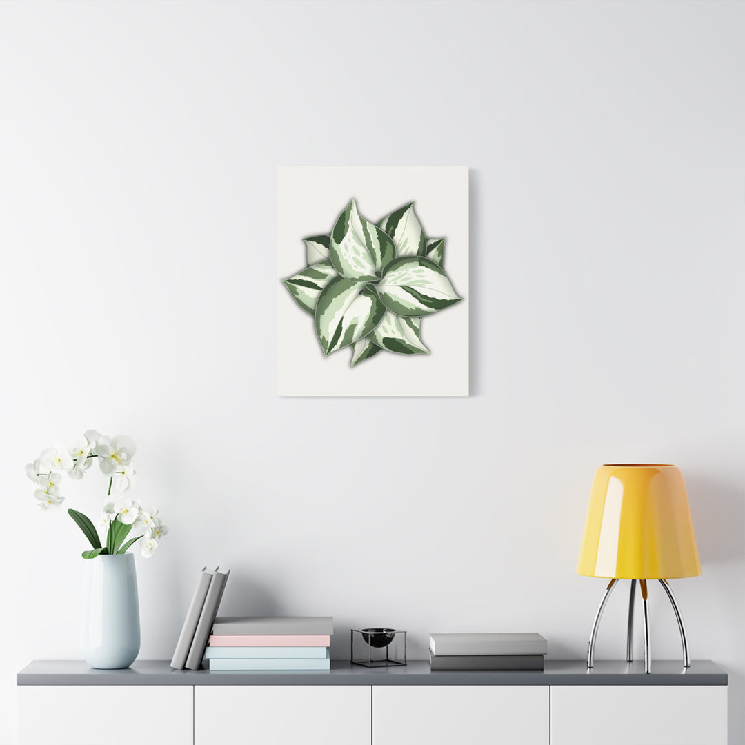 Manjula Pothos Canvas Print Stretched Matte Canvas Wall Art For Living Room And Office
