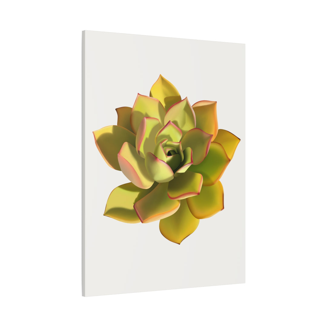 Noble Aeonium Succulent Canvas Wall Art Print for Modern Home Decor by The Potted Pixel