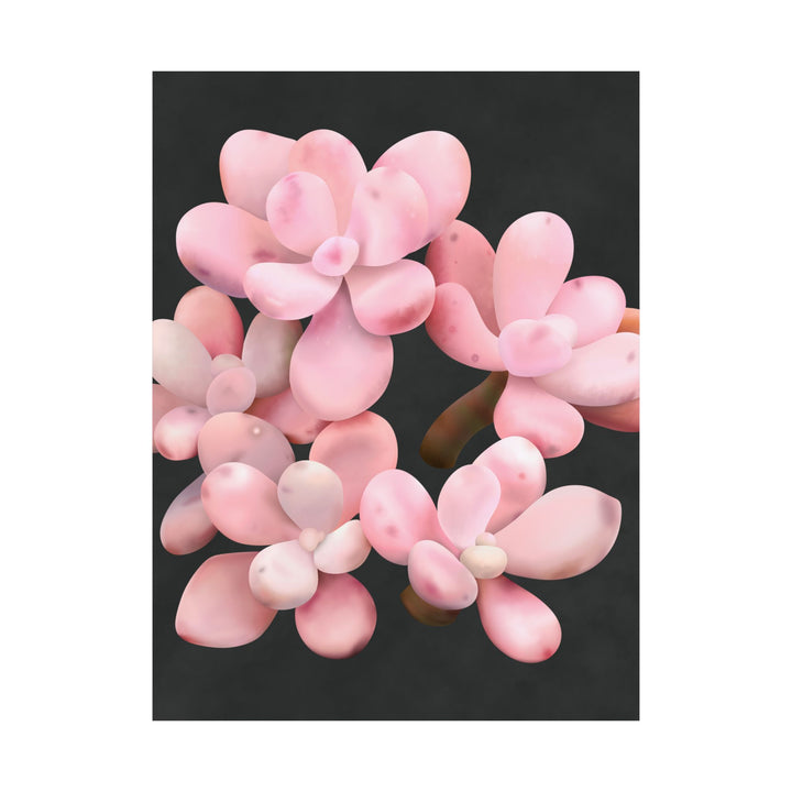 Pink Moonstone Botanical Print – Unframed Wall Art