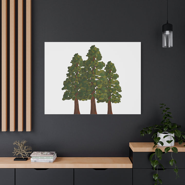 Coastal Redwoods Matte Canvas Print On 1.25 Inch Stretched Canvas For Serene Forest Wall Art In Living Rooms