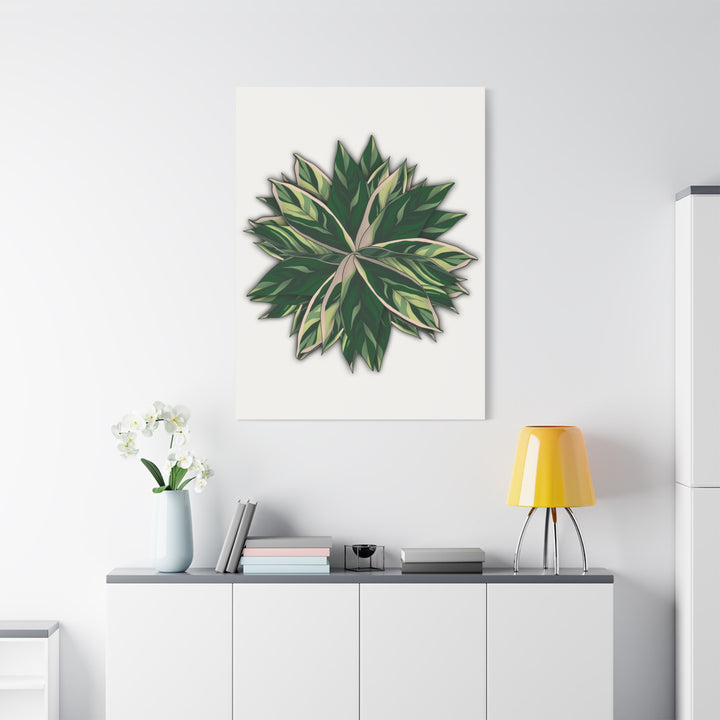 Stromanthe Triostar Canvas Wall Art Premium Matte Finish On Durable 1.25 Inch Frame For Vibrant Indoor Tropical Decor