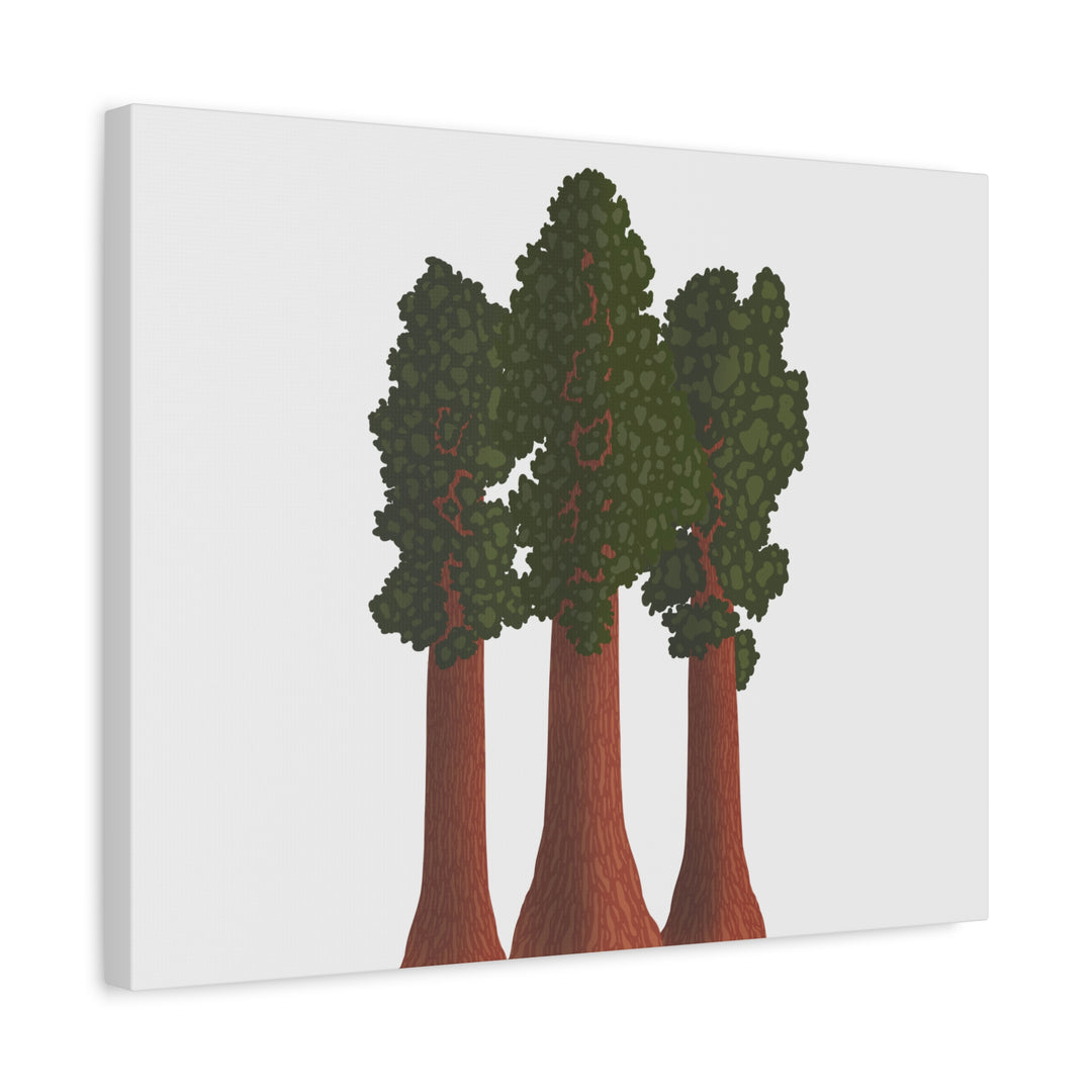 Giant Sequoias Canvas Print – Wall Art