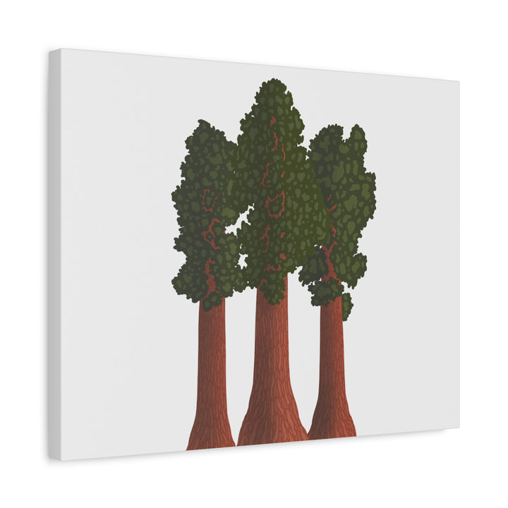 Giant Sequoias Canvas Print – Wall Art