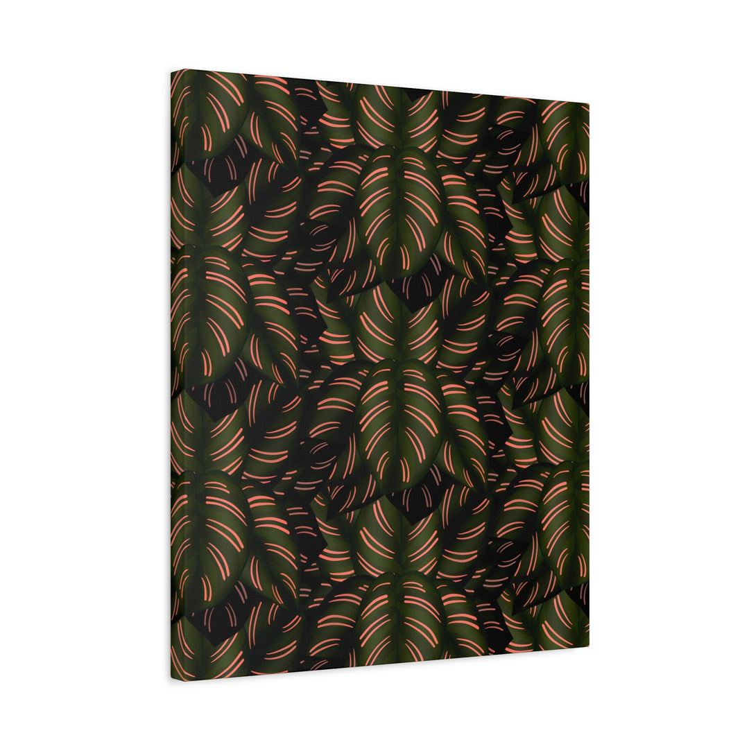 Calathea Pinstripe Canvas Print With Matte Finish Stretched Botanical Wall Art For Living Room Decor