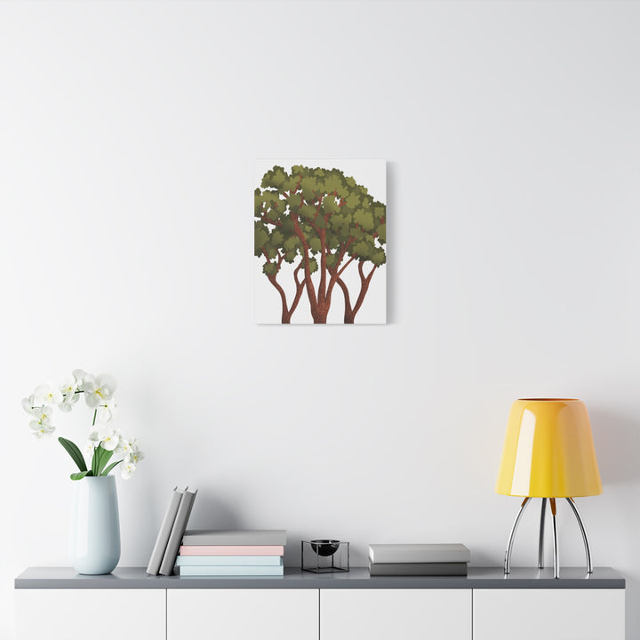 Pacific Madrone Canvas Print – Wall Art