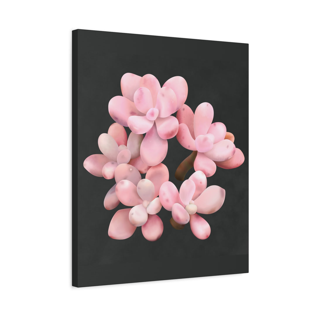 Pink Moonstone Canvas Print – Botanical Wall Art