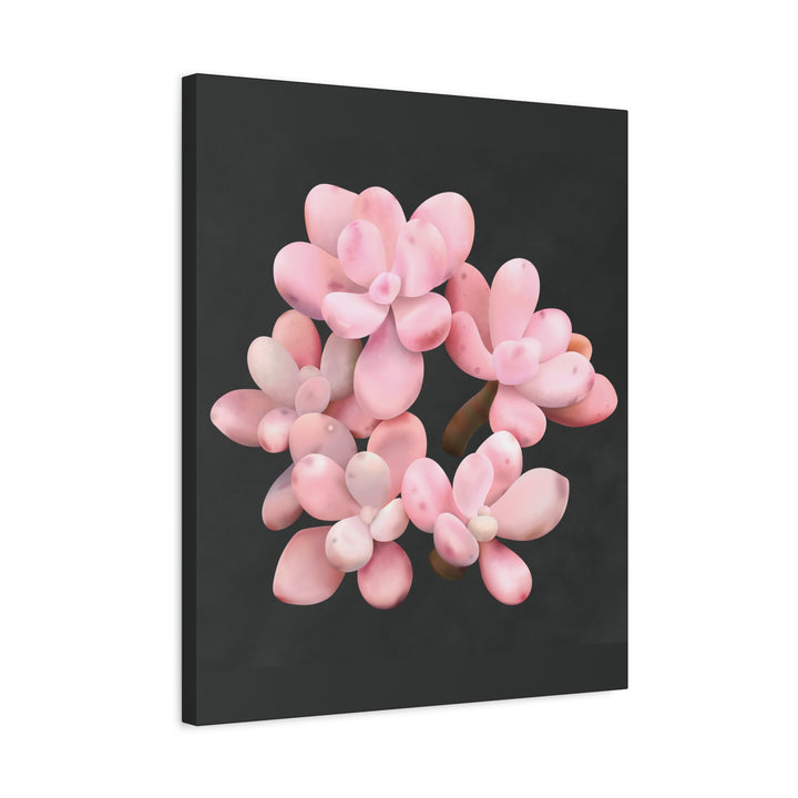 Pink Moonstone Canvas Print – Botanical Wall Art