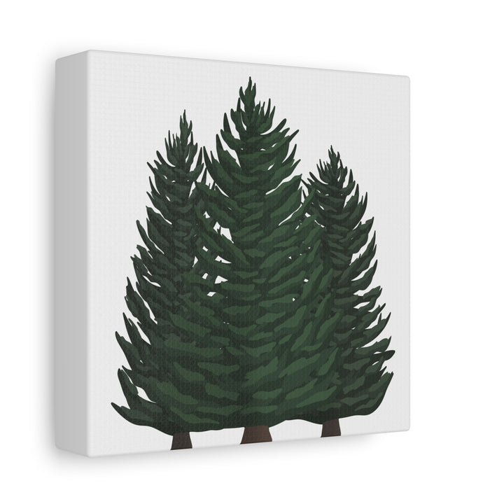 Douglas Fir Canvas Print – Wall Art