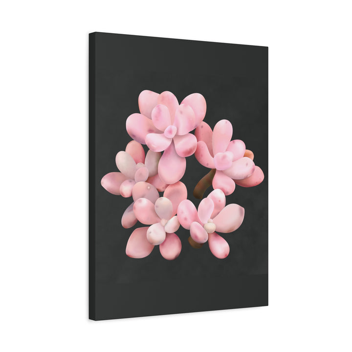 Pink Moonstone Canvas Print – Botanical Wall Art