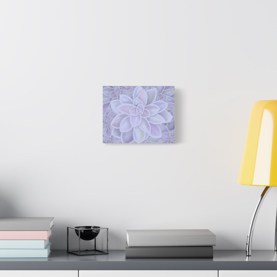 Graptopetalum Murasaki Succulent Canvas Art Print Pastel Purple Rosette Indoor Plant Decor