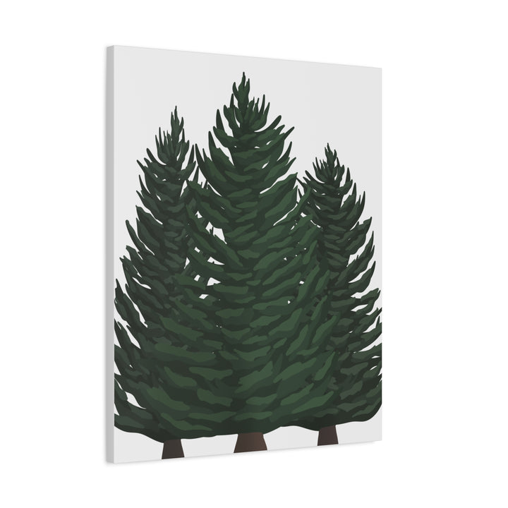 Douglas Fir Canvas Print – Wall Art