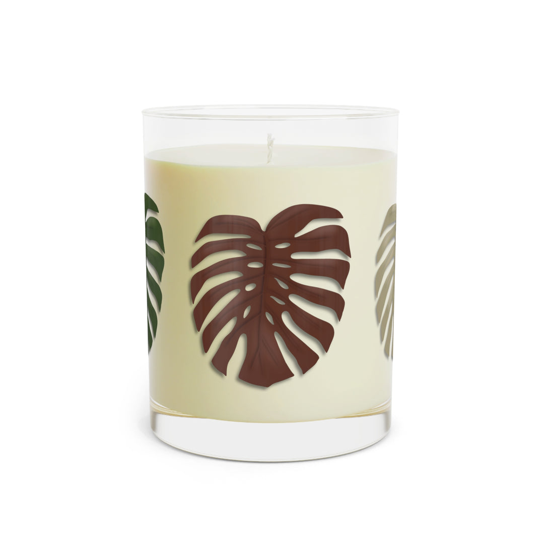 Monstera Deliciosa 11oz Candle In Reusable Glass Jar Soy Wax With White Tea Fig Lavender Sage Ocean Mist