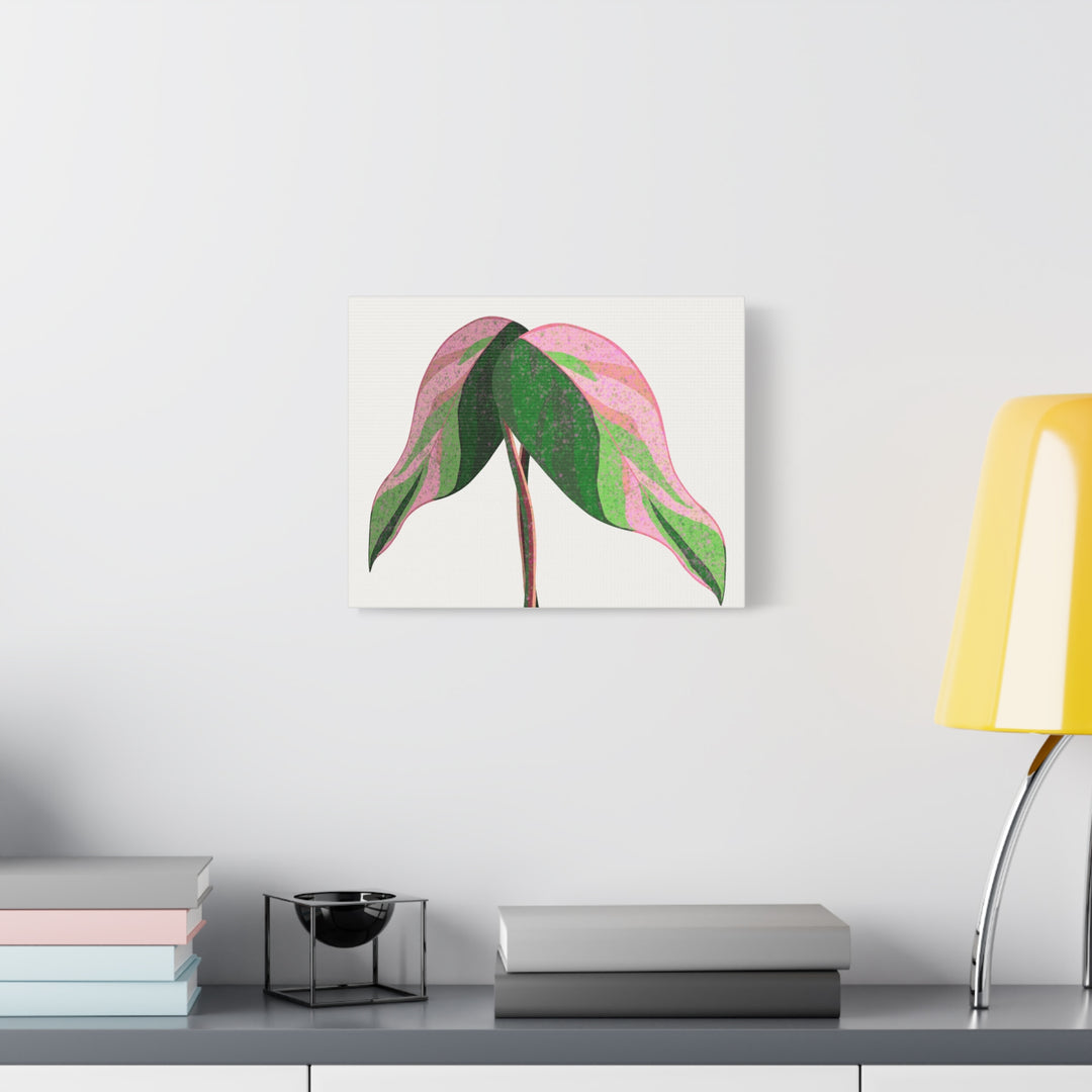 Pink Princess Philodendron Canvas Print Botanical Wall Art For Indoor Decor Modern Living Room Poster