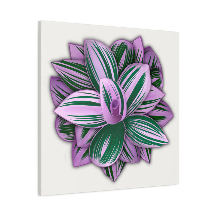 Tradescantia Nanouk Canvas Botanical Wall Art Print Pink Green Foliage On Stretched Cotton Canvas