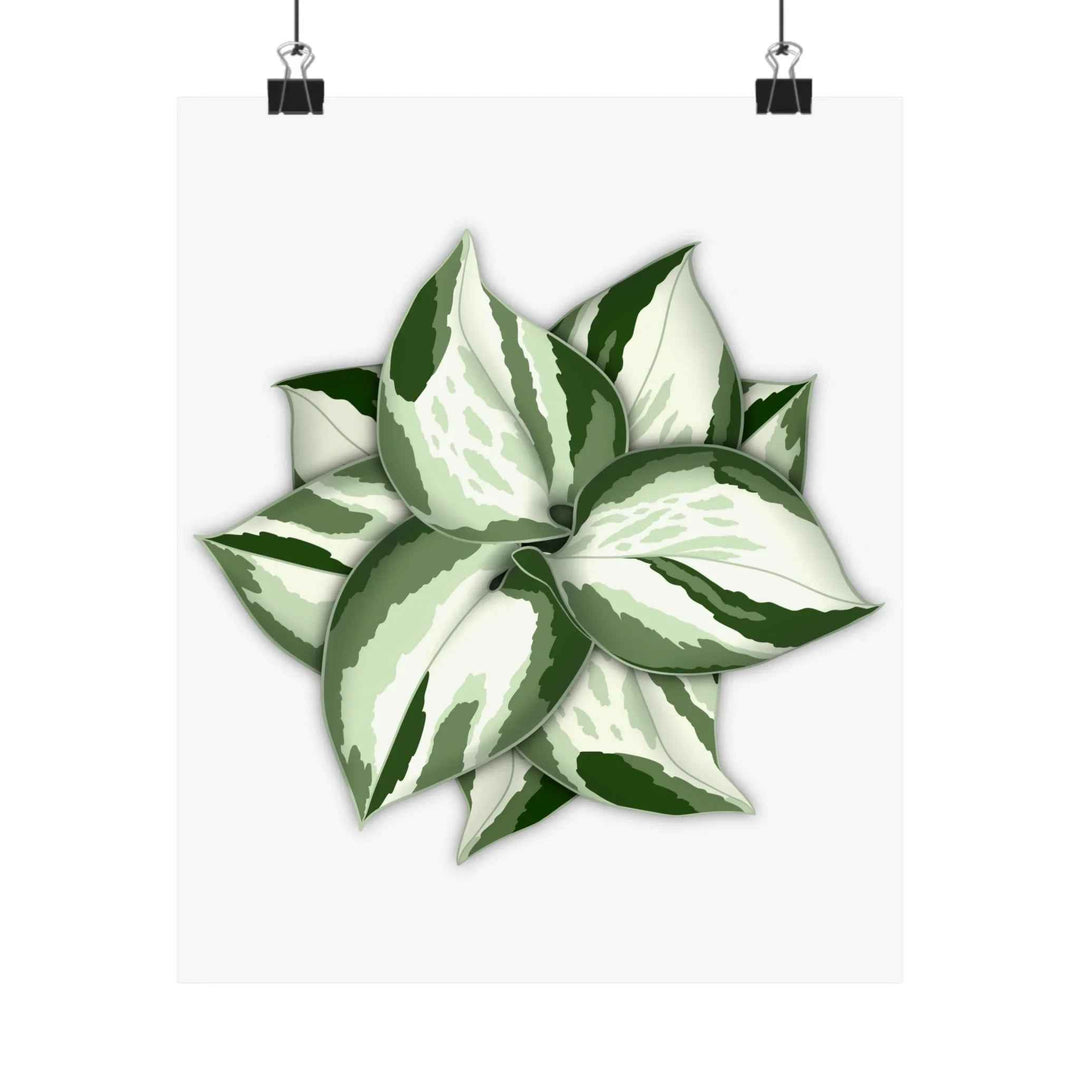 Manjula Pothos Print – Botanical Wall Art | Green Leaf Wall Decor | Unframed - The Potted Pixel