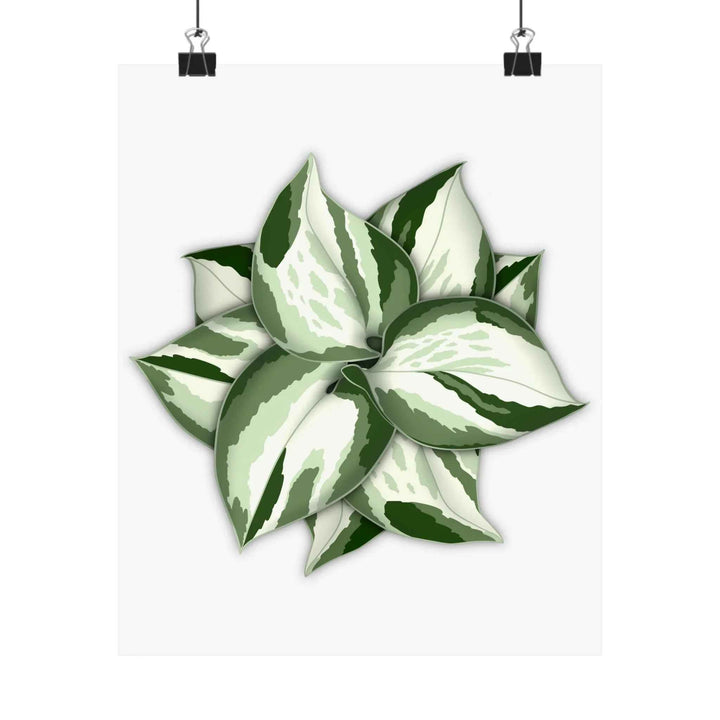 Manjula Pothos Print – Botanical Wall Art | Green Leaf Wall Decor | Unframed - The Potted Pixel